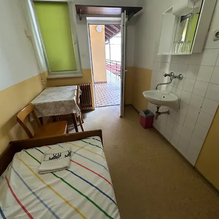 Casa de hóspedes Soba Za Nocitev Za Eno Osebo *